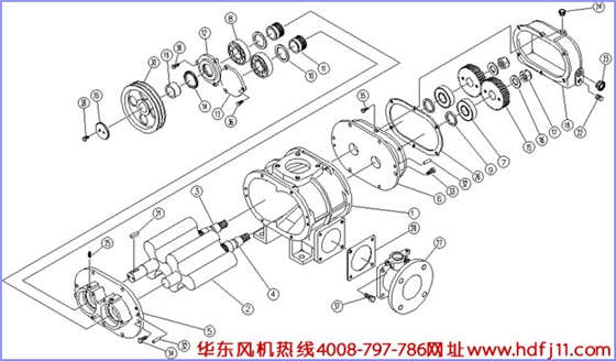 羅茨風機結(jié)構(gòu)圖.jpg