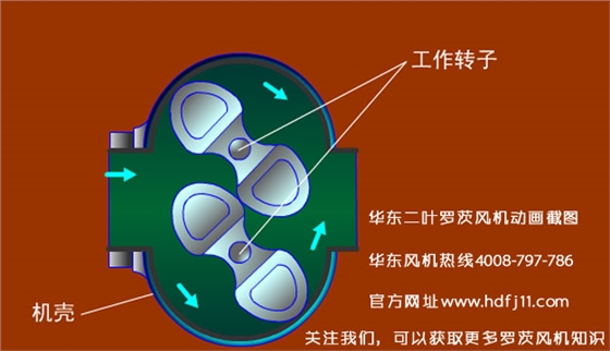 羅茨風(fēng)機的動畫截圖.jpg