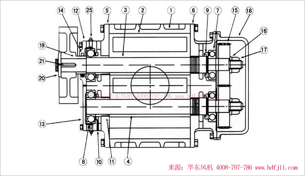 三葉羅茨風(fēng)機(jī)內(nèi)部結(jié)構(gòu)圖-縱切圖.jpg